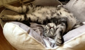 ImageUploadedByTapatalk 21373224527.392922.jpg