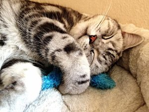 ImageUploadedByTapatalk 21373287152.449303.jpg