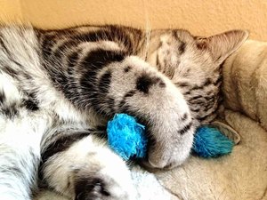 ImageUploadedByTapatalk 21373287205.942763.jpg