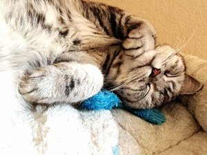 ImageUploadedByTapatalk 21373287320.909805.jpg