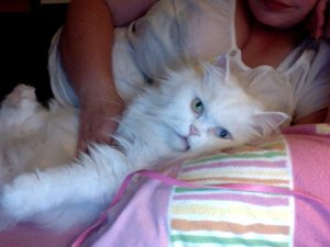 Foto am 09-07-2013 um 00.07.jpg