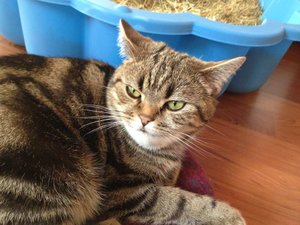 ImageUploadedByTapatalk 21373386302.767598.jpg