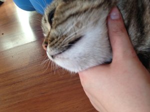 ImageUploadedByTapatalk 21373386446.783420.jpg