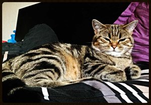 ImageUploadedByTapatalk 21373479398.904172.jpg