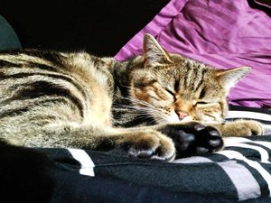 ImageUploadedByTapatalk 21373479437.948238.jpg