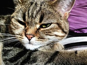 ImageUploadedByTapatalk 21373479470.849107.jpg