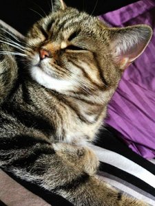 ImageUploadedByTapatalk 21373479536.612814.jpg