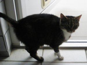 IMGP2490 (1024x768).jpg