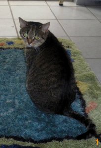 IMGP2493 (693x1024).jpg