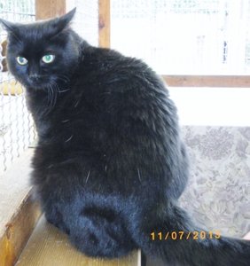 IMGP2476 (800x600).jpg