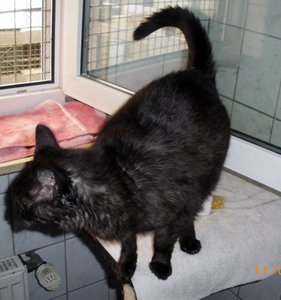 IMGP2504 (959x1024).jpg