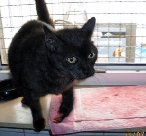 IMGP2506 (1024x949).jpg