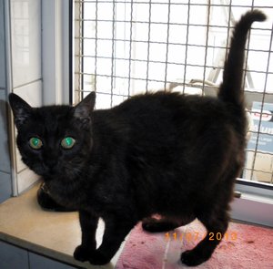 IMGP2511 (1024x1005).jpg