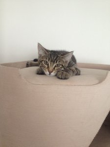 ImageUploadedByTapatalk 21373660291.098893.jpg