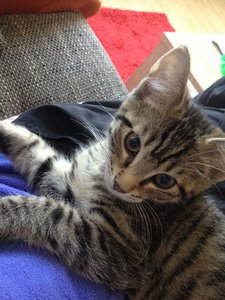 ImageUploadedByTapatalk 21373660329.369351.jpg