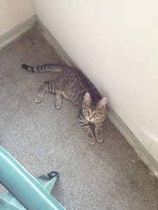 ImageUploadedByTapatalk 21373703612.323054.jpg