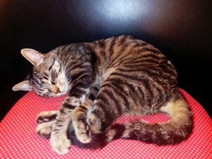 ImageUploadedByTapatalk 21373704142.805182.jpg