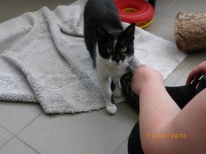 IMGP2450 (1024x768).jpg