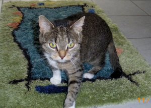 IMGP2492 (1024x730).jpg