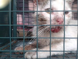 2013-07-13 16.29.34.jpg