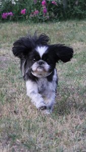 ImageUploadedByTapatalk 21373796336.582333.jpg