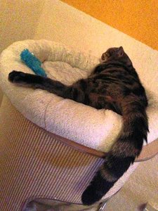 ImageUploadedByTapatalk 21373802577.569176.jpg