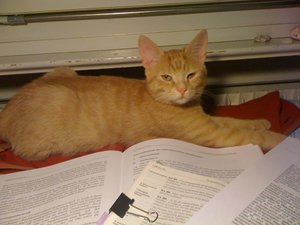 HomPom lernt mit.jpg