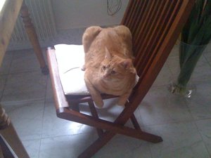 sehr unvorteilhaft.jpg