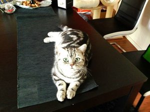 ImageUploadedByTapatalk 21373881184.152718.jpg