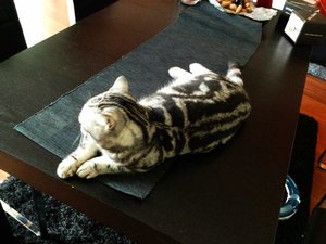 ImageUploadedByTapatalk 21373881212.073009.jpg