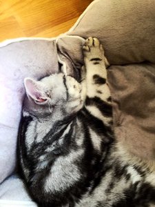 ImageUploadedByTapatalk 21373882094.763861.jpg