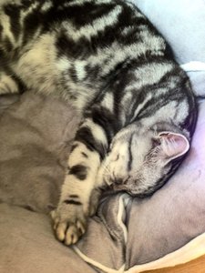 ImageUploadedByTapatalk 21373882127.708641.jpg