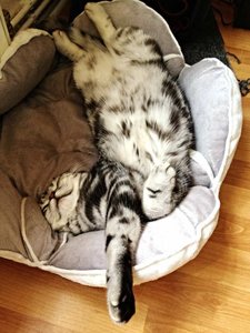 ImageUploadedByTapatalk 21373884374.354750.jpg