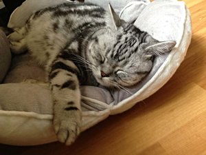 ImageUploadedByTapatalk 21373886218.607449.jpg