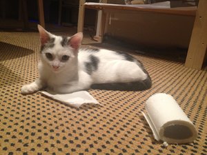 attachment (114).jpg