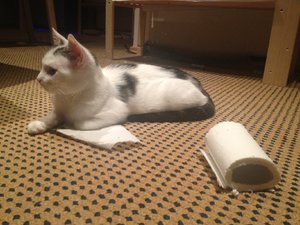 attachment (115).jpg