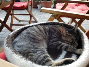 ImageUploadedByTapatalk 21373911768.537622.jpg