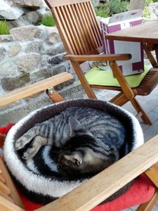 ImageUploadedByTapatalk 21373911777.285508.jpg