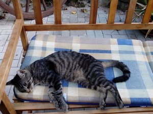 ImageUploadedByTapatalk 21373911822.152440.jpg