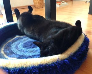 ImageUploadedByTapatalk 21373973872.721650.jpg