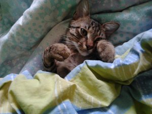 2013-03-23 14.00.58.jpg