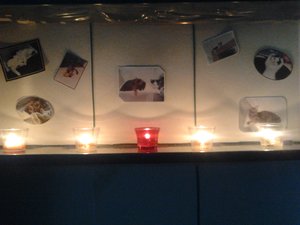 2013-07-16 20.32.32.jpg