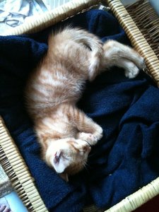 2013-07-16 19.07.11 1.jpg