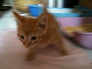 2013-07-16 19.09.03.jpg