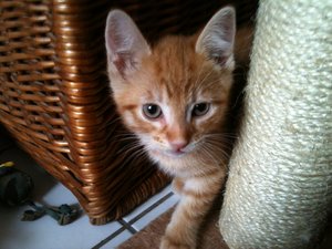 2013-07-16 19.09.13.jpg