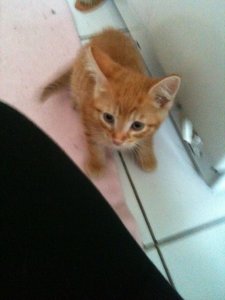 2013-07-16 19.09.33.jpg