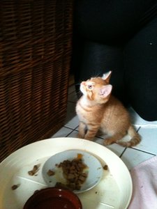 2013-07-16 19.09.47.jpg