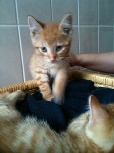 2013-07-16 19.10.03.jpg