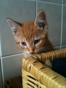 2013-07-16 19.10.35.jpg