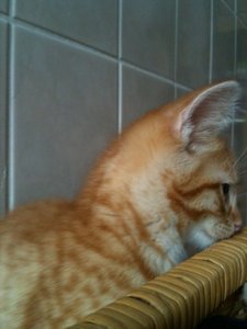 2013-07-16 19.10.45.jpg